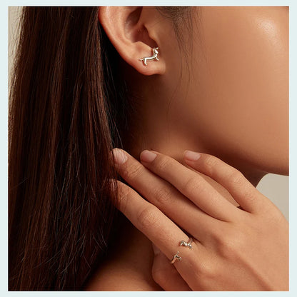 BISAER 925 Sterling Silver Cute Pet Dog Jewelry Set Dachshund Animal Stud Earrings Adjustable Rings for Women Lovely Party Gift